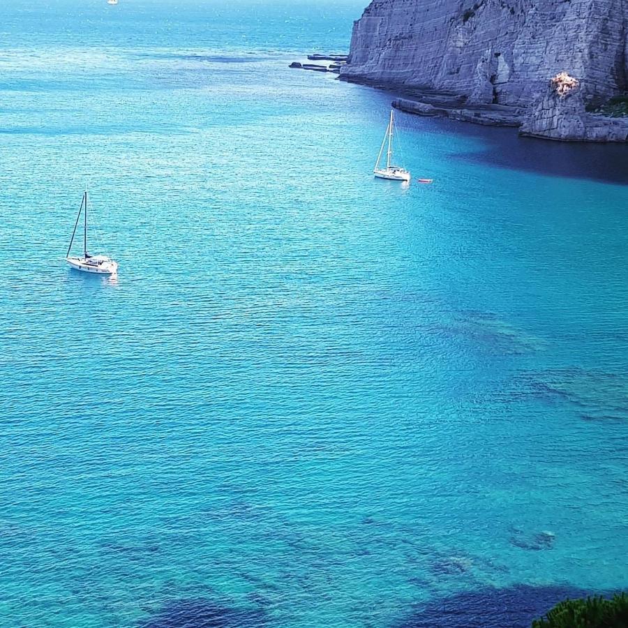 B&B Mediterranea Meta Εξωτερικό φωτογραφία